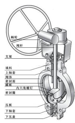 雙（shuāng）偏心蝶閥結（jié）構圖